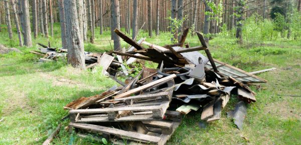 Debris Removal Service in Livonia