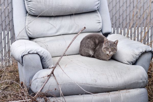 Recliner Disposal in Livonia