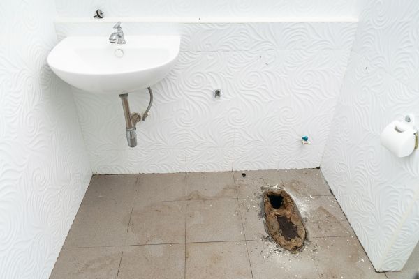 Toilet Disposal in Livonia